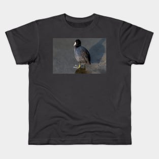 Red Eyed American Coot Kids T-Shirt